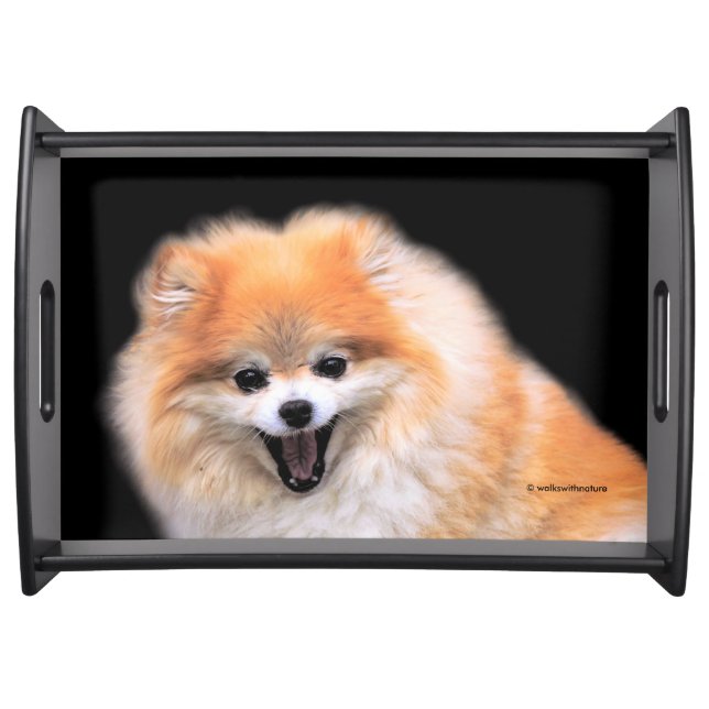 Cute Laughing Pomeranian Dog Serving Tray (Front)
