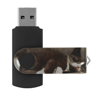 Cute Lazy Cat USB Flash Drive