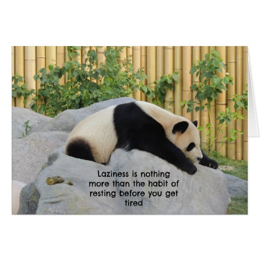 Cute Lazy Day Panda Cards (Front Horizontal)