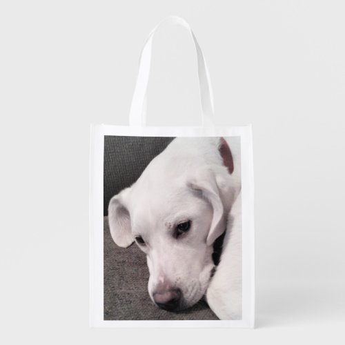 Cute Lazy White Labrador Retriever Mix Dog Grocery Grocery Bag
