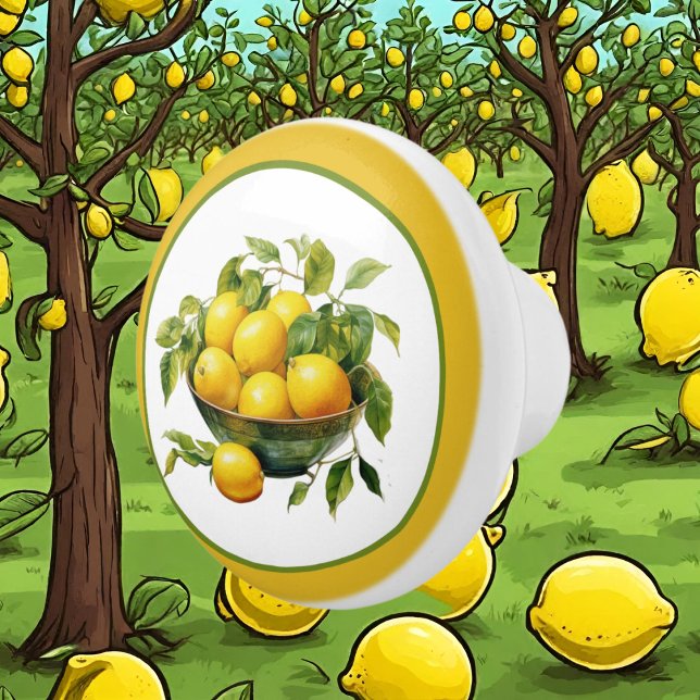Cute lemon lovers kitchen  ceramic knob (Creator Uploaded)