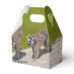 cute lemur favor box