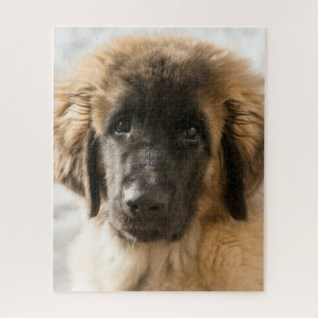 Cute Leonberger Puppy Jigsaw Puzzle (Vertical)