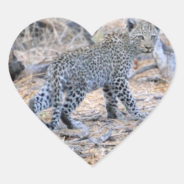 Cute Leopard On The Prowl Heart Sticker (Front)