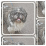 Cute Lhasa Apso Fabric