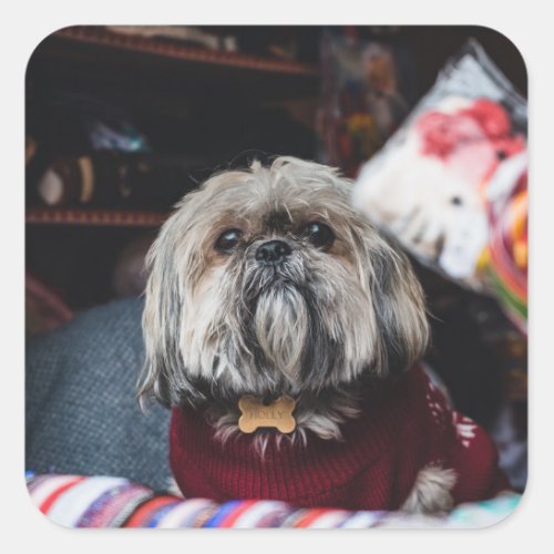 Cute lhasa apso puppy at Christmas b Square Sticker