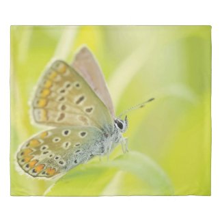Light Green Butterfly Print King Duvet Cover