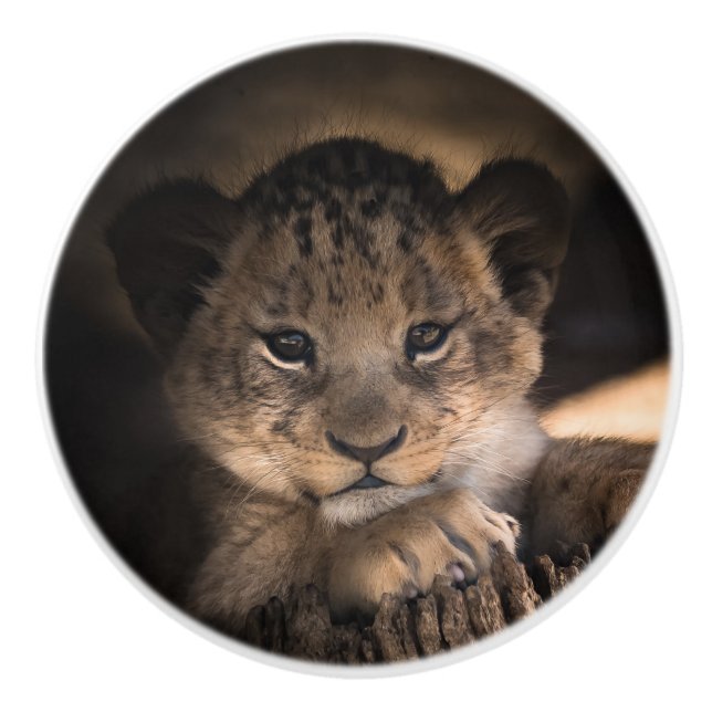 Cute lion cub ceramic knob (Front)