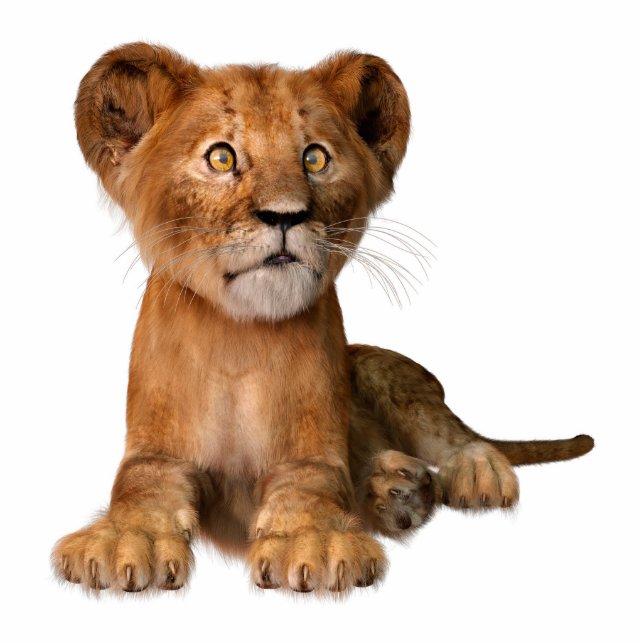 Cute  Lion Cub Cutout (Front)