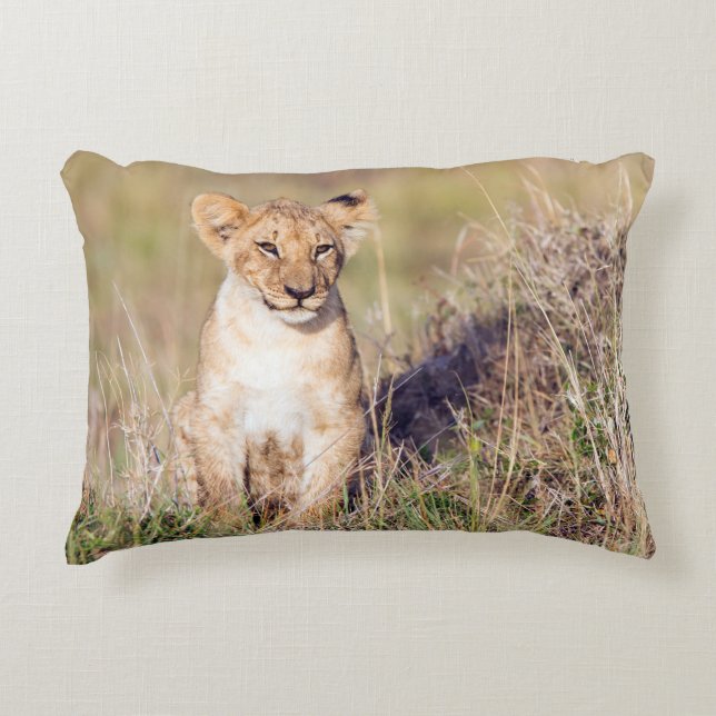 Cute lion cub in Africa photo Accent Pillow (Front)