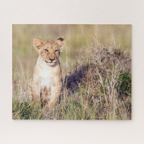 Cute lion cub in Africa photo Jigsaw Puzzle