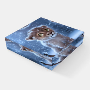 Cute Lion Cub in the Snow  Paperweight