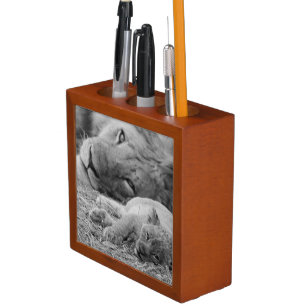 Cute Lion Cub Resting With Father Desk Organizer