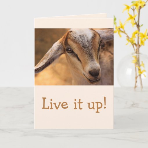 Cute Little Baby Goat Birthday Card | Zazzle