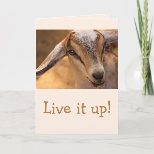 Cute Little Baby Goat Birthday Card