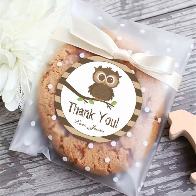 Cute Little Baby Owl | Baby Shower Thank You Favor Classic Round Sticker (Creator Uploaded)