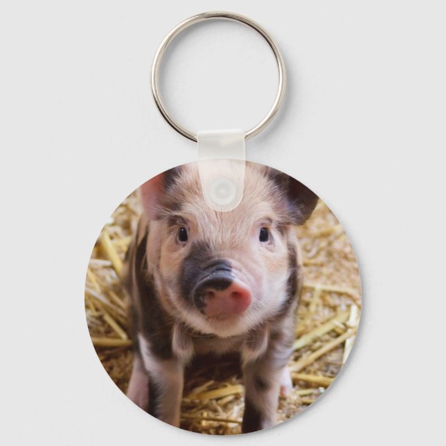 Cute little Baby Piglet Keychain (Front)