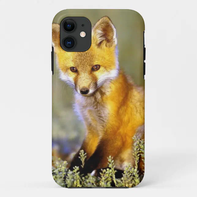 cute little baby red fox Case-Mate iPhone case | Zazzle cute little baby red fox Case-Mate iPhone case | Zazzle