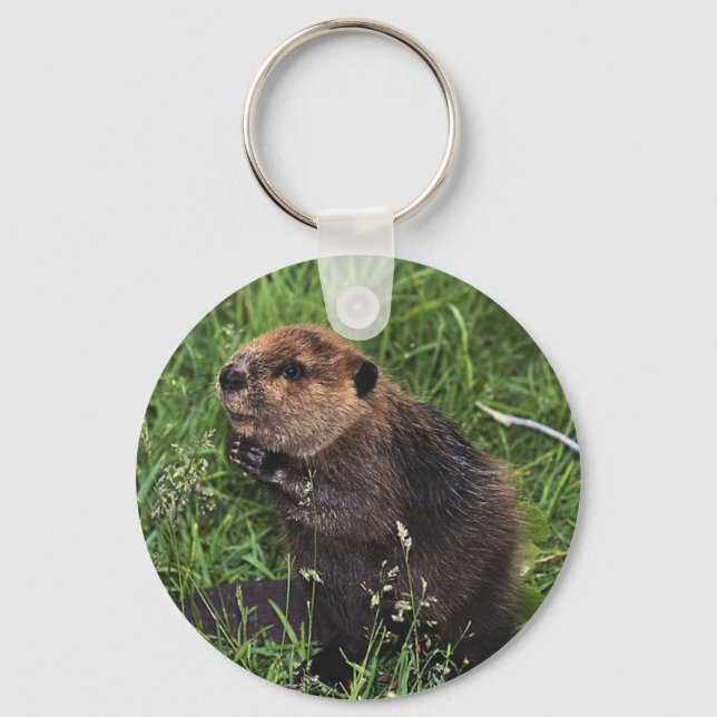 Cute Little Beaver Keychain (Front)