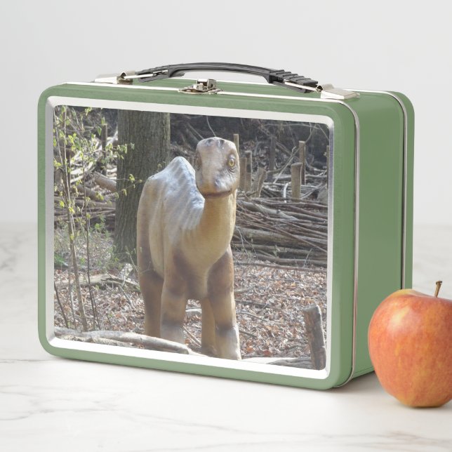 Cute Little Beige Dinosaur Lunchbox (In Situ)