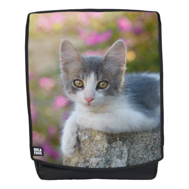 Cute Little Bicolor Kitten Fluffy Photo Cat Lovers Backpack (Front)