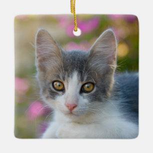 Cute Little Bicolor Kitten Fluffy Photo Cat Lovers Ceramic Ornament