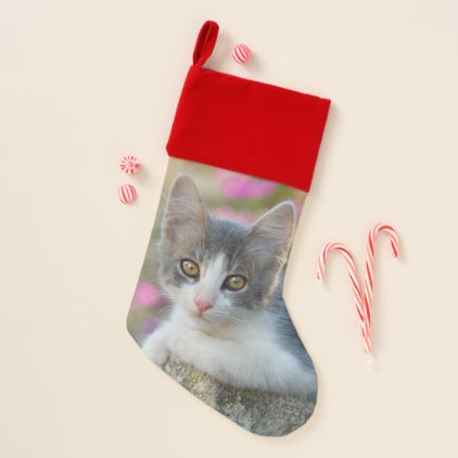 Cute Little Bicolor Kitten Fluffy Photo Cat Lovers Christmas Stocking