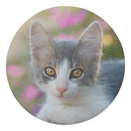 Cute Little Bicolor Kitten Fluffy Photo Cat Lovers Eraser