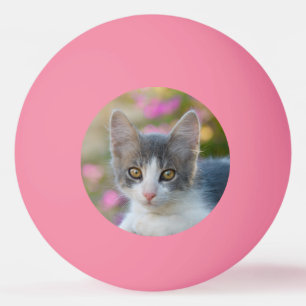 Cute Little Bicolor Kitten Fluffy Photo Cat Lovers Ping Pong Ball