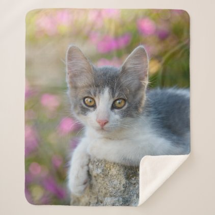 Cute Little Bicolor Kitten Fluffy Photo Cat Lovers Sherpa Blanket