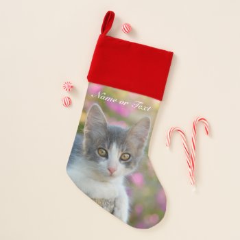 Cute Little Bicolor Kitten Fluffy Photo Cat - Name Christmas Stocking by Kathom_Photo at Zazzle