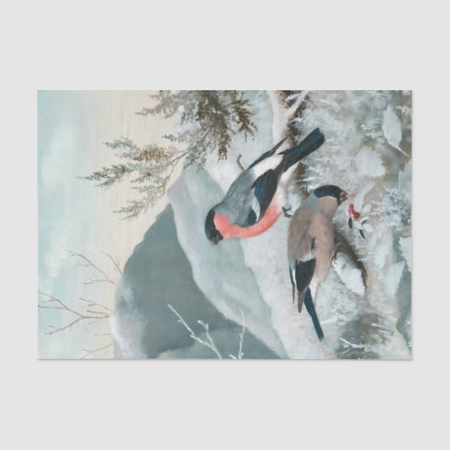 Cute little bird- Bullfinch, Art Tissue Paper (Front)