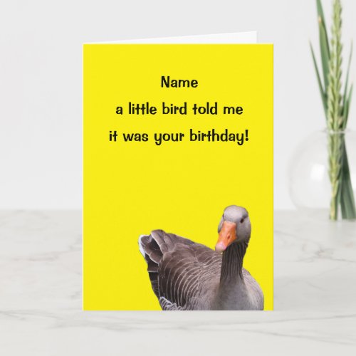 Cute Little Bird Funny Happy Birthday Card