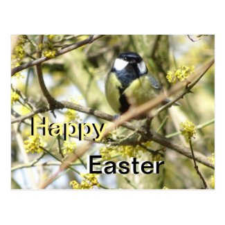 Cute little Bird Happy Easter Postcard