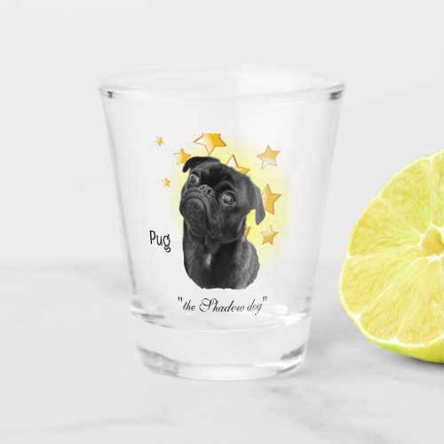 Cute Little Black Pug is a Star   Shot Glass