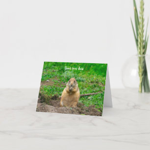 Cute Little Black-Tailed Prairie Dog Letterpress Thank You Card