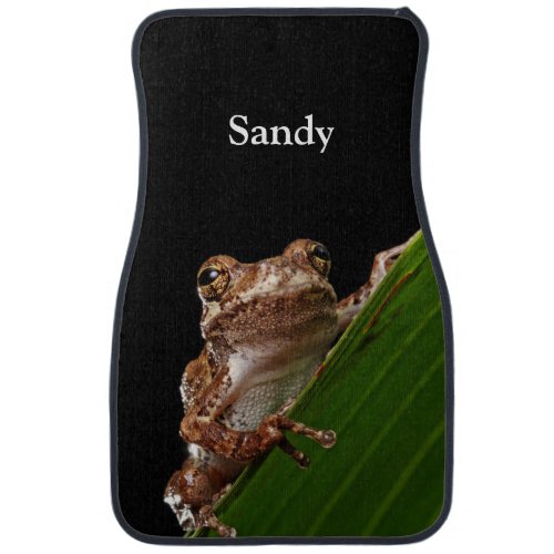 Cute Little Brown Frog Car Mat