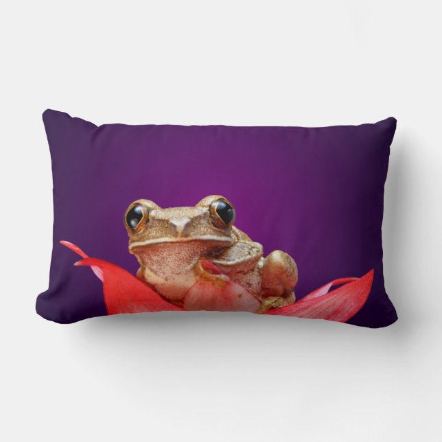 Cute Little Brown Marbled Reed Frog Deep Purple Lumbar Pillow (Front)