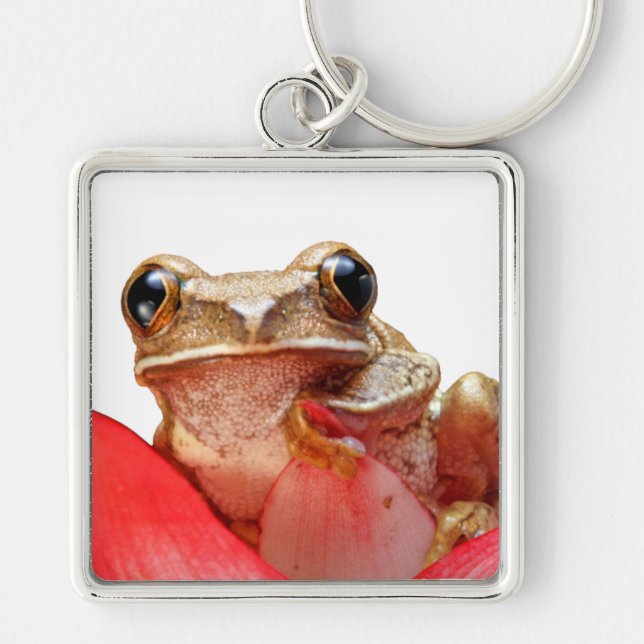Cute Little Brown Marbled Reed Frog Red Flower Keychain (Front)