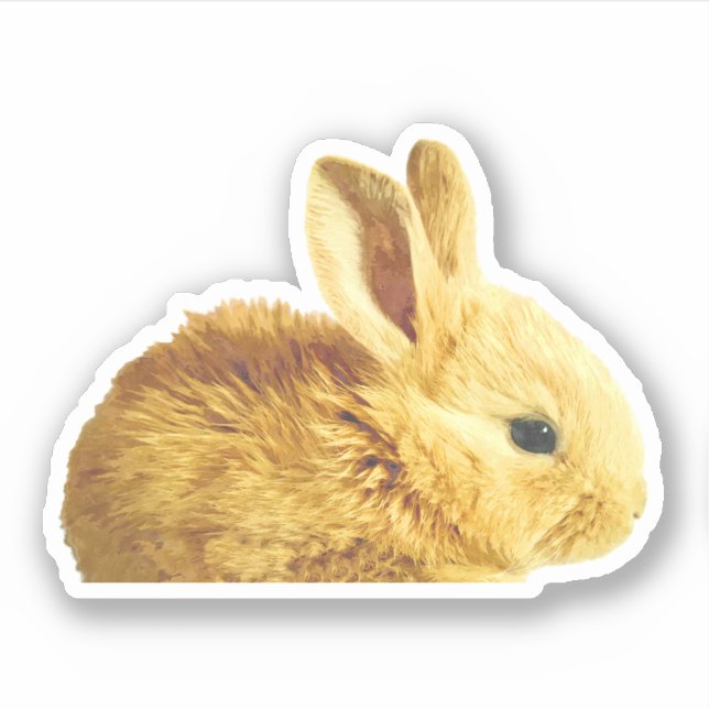 Cute Little Bunny Portrait Sticker (Front)