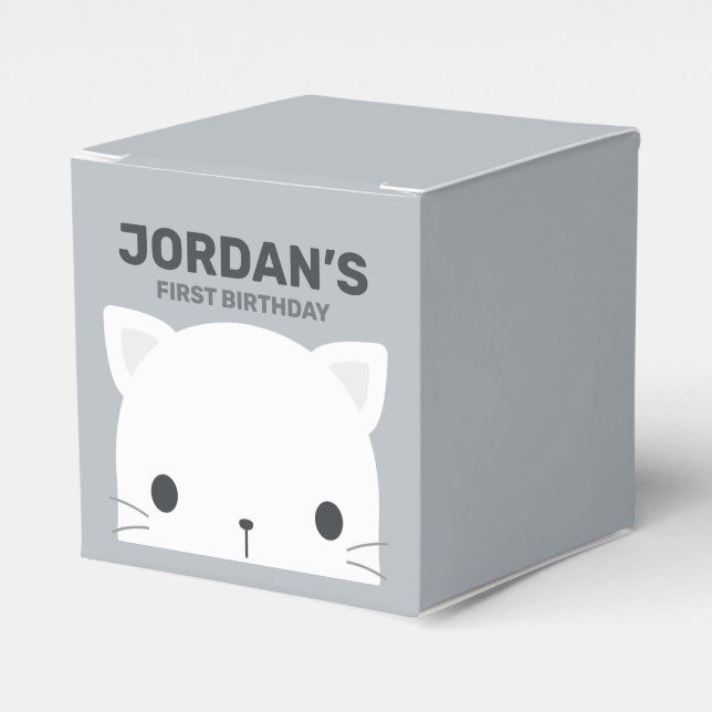 Cute Little Cat Birthday Favor Boxes (Front Side)
