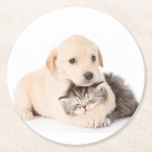 Cute little cat sleeps in dog's hands round paper coaster
