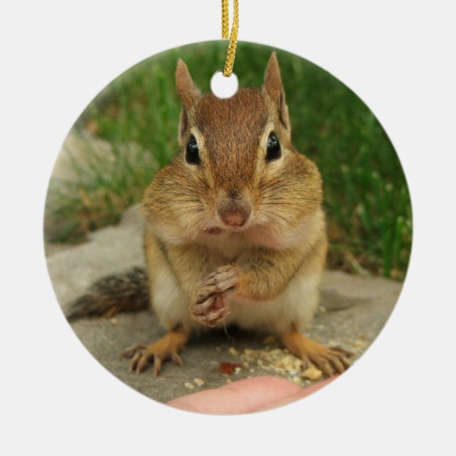 Cute Little Cheeky Chipmunk Ceramic Ornament (Front)