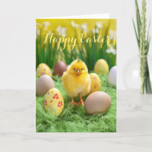 Cute Little Chick and Eggs Easter Holiday Card