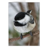 Cute Little Chickadee (Front)