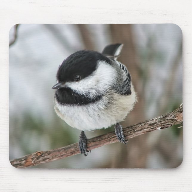Cute Little Chickadee Mouse Pad (Front)