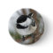 Cute Little Chickadee