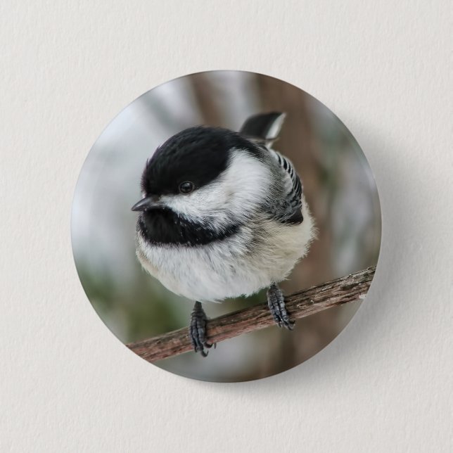 Cute Little Chickadee Pinback Button (Front)