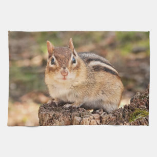 Cute Little Chipmunk Towel