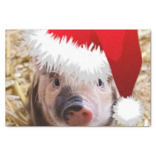 Cute Little Christmas Piglet Tissue Paper